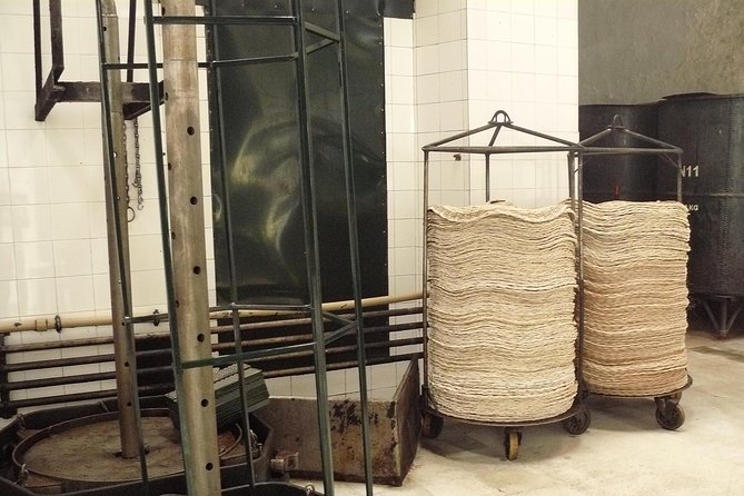 Olive Oil Farm Tour with Tasting from Seville - A Visit to Basilippo Oleoturismo: Olive Groves and the Family-owned Factory