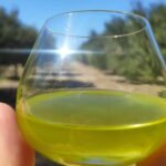 Olive Oil Tasting at the Mykonian Farm - Starting Point: The Mykonian Farm Experience