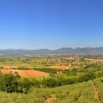 Olive oil tasting with oil mill tour in Umbria. - Behind the Scenes at the Oil Mill