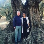 Olive Oil Tour and Visit to Belchite Old Town - Visiting Belchite: A Town Frozen in Time