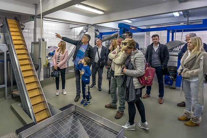 Olive Oil Tour of Solta Island with Lunch - Visiting the Olive Groves on Solta’s Eastern Shore