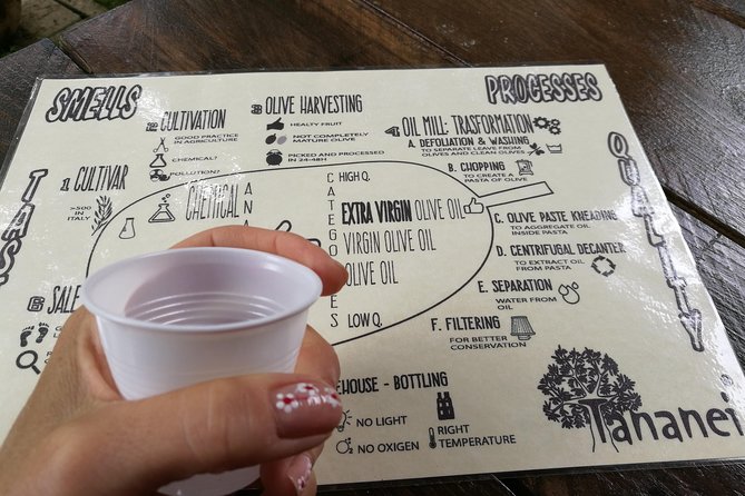 Olive Oil tour with Tuscan dinner - Approaching EVO Oil Tasting Like a Sommelier