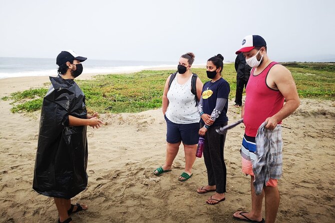 Olive Ridley Turtle Release Experience - Starting Point and Transport Details in Puerto Escondido