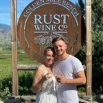 Oliver: Oliver Full Day Guided Wine Tour - The Best of Olivers Award-Winning Wineries