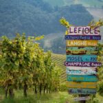 Oltrepò Pavese: walk through the vineyards and wine tasting 1 hour from Milan - Practical Details for the Walk Through the Vineyards