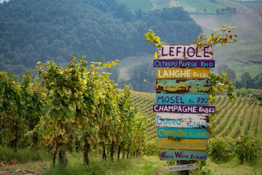 Oltrepò Pavese: walk through the vineyards and wine tasting 1 hour from Milan - Practical Details for the Walk Through the Vineyards