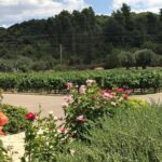 Olympia - Full day Tour with mini bus - Starting at Katakolon Port, the Gateway to Olympia