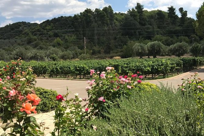 Olympia - Full day Tour with mini bus - Starting at Katakolon Port, the Gateway to Olympia