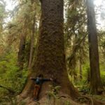 Olympic Two Day Private Tour and Hike - Highlights at Hurricane Ridge and Its Scenic Hike