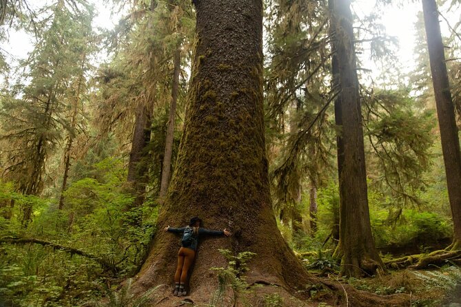 Olympic Two Day Private Tour and Hike - Highlights at Hurricane Ridge and Its Scenic Hike