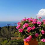 One Day Sicily Tour fom Malta - Starting Point: Pozzallo Port and Early Morning Departure