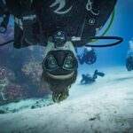 Open Water Course  Dive Machine Experience - Starting Point at the Dive Machine Center in Playa del Carmen