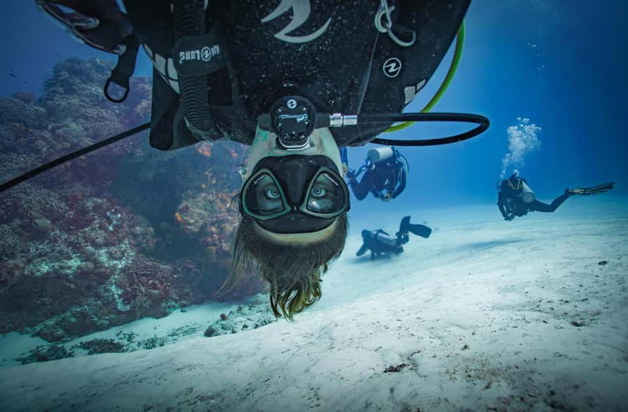 Open Water Course  Dive Machine Experience - Starting Point at the Dive Machine Center in Playa del Carmen