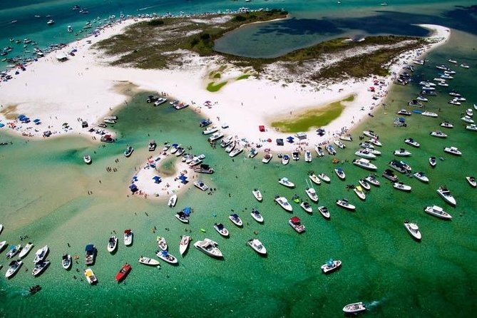 Orange Beach 1.5-Hour Bay Cruise - Dolphin Sightings and Marine Wildlife