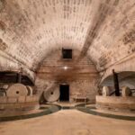 Organic Wine and Olive Oil Tasting Experience near Lecce - The Setting: A Historic Masseria in Apulia