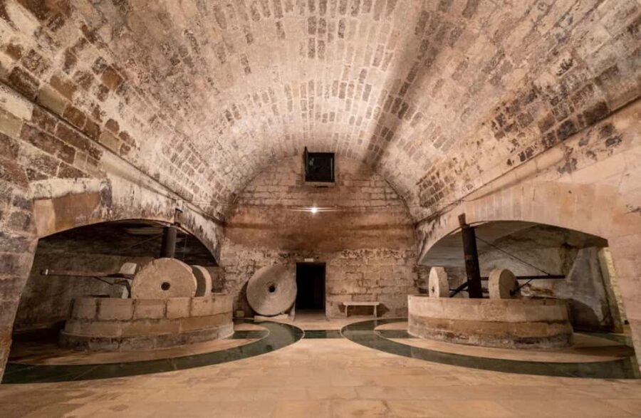 Organic Wine and Olive Oil Tasting Experience near Lecce - The Setting: A Historic Masseria in Apulia