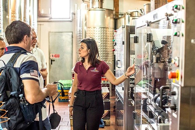 Organic Wine Tasting & Lunch on Vesuvius with Transfer from Sorrento Peninsula - Scenic Drive from Sorrento to Mount Vesuvius