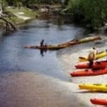 Orlando Alligator Experience: Day-Trip From Orlando - Starting Point and Easy Access from Orlando