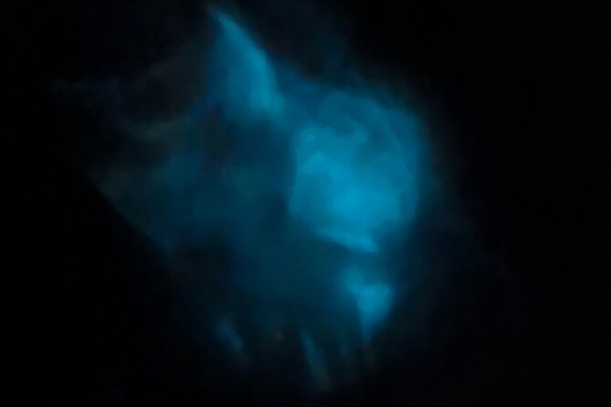 Orlando Bioluminescence Kayak Adventure - The Experience of Glowing Waters and Marine Wildlife