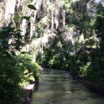 Orlando: City Highlights and Hidden Gems Tour - Orlando City Highlights and Lake Eola District