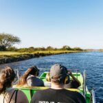 Orlando: Florida Everglades Wildlife Airboat Tour - The Role of Expert Guides in the Tour