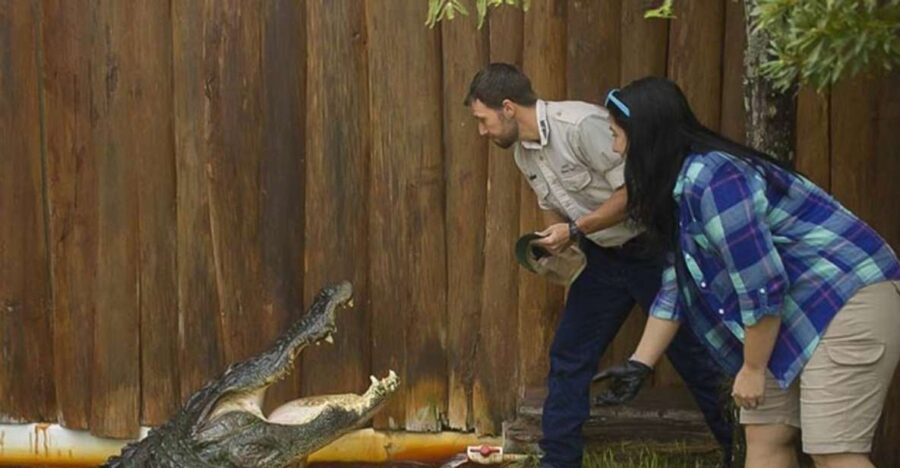 Orlando: Gatorland Interactive Tour with Animal Trainer - Holding and Learning About Baby Alligators