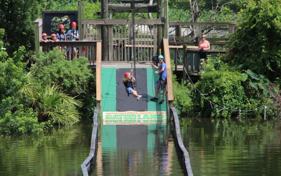 Orlando: Gatorland Zipline Adventure w/ Full-Day Park Access - The Thrill of Flying Over Florida’s Animal Habitats