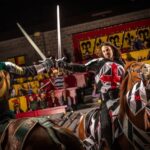 Orlando: Medieval Times Dinner and Show Ticket - Location and Meeting Point in Kissimmee
