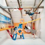 Orlando: Museum of Illusions Admission Ticket - Exploring the Iconic Infinity Room and Photo Opportunities