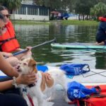 Orlando: Paddle with Pups in Paradise - Paddleboard or Kayak - Starting Point at Lake Ivanhoe’s Boat Ramp Near Russell’s Restaurant