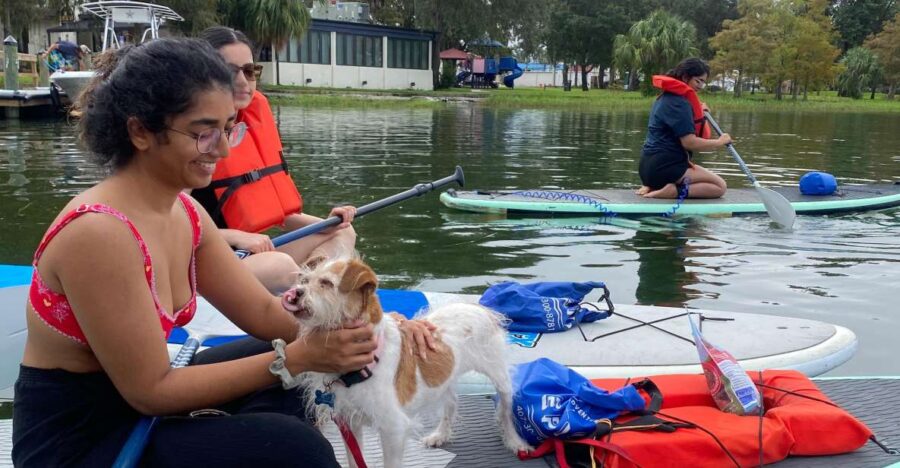 Orlando: Paddle with Pups in Paradise - Paddleboard or Kayak - Starting Point at Lake Ivanhoe’s Boat Ramp Near Russell’s Restaurant