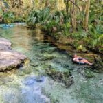 Orlando: Rock Springs Tubing & Apopka Wildlife Trail Tour - Relaxing Visit to Kelly Park with Picnic Facilities