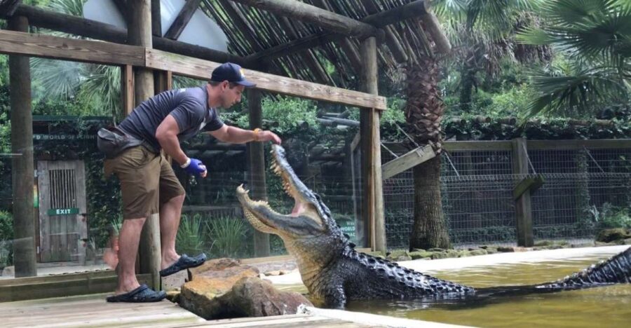 Orlando: Wild Florida Park Ticket and Gator Shows - Experience the Alligator Demonstration and Touching Opportunities