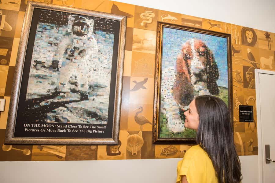 Orlando: WonderWorks Nighttime Entry Ticket - Exploring the Upside-Down WonderWorks Building