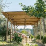 Orvieto: Classic Wine Tasting at Madonna del Latte - Starting the Tour at Madonna del Latte’s Scenic Vineyard