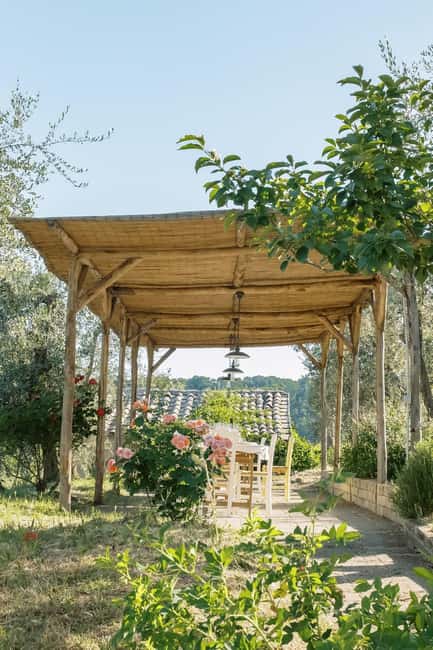 Orvieto: Classic Wine Tasting at Madonna del Latte - Starting the Tour at Madonna del Latte’s Scenic Vineyard