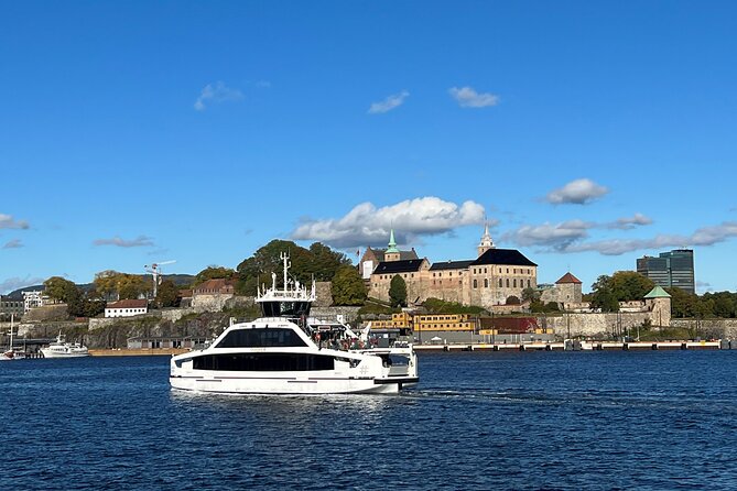 Oslo City Highlights with Fjord Cruise - Exploring Vigeland Sculpture Park in Depth