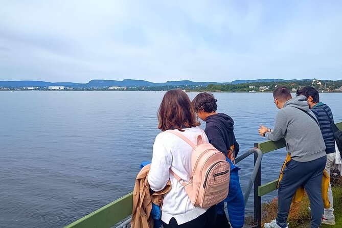 Oslofjord Island Hopping Tour - Nakholmen: The Cozy Cottages and Fjord Views