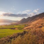 Osoyoos Half Day Wine Tour (Incl. Tasting Fees & Guide Gratuity!) - How the Tour Starts with Convenient Pickup in Osoyoos and Oliver