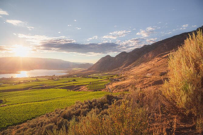 Osoyoos Half Day Wine Tour (Incl. Tasting Fees & Guide Gratuity!) - How the Tour Starts with Convenient Pickup in Osoyoos and Oliver