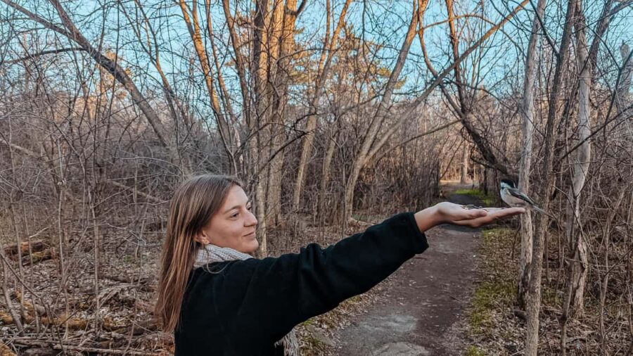 Ottawa: Guided Nature Walk & Wildlife Tour with Hotel Pickup - Starting Point and Pickup Details in Ottawa
