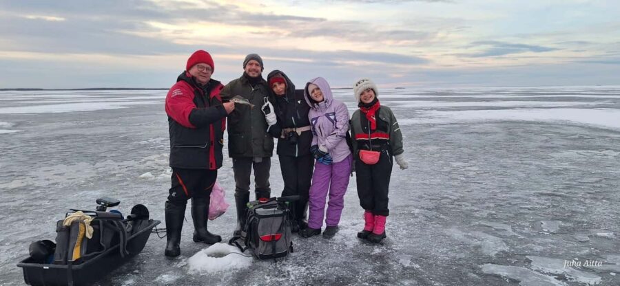 Oulu: Arctic Sea Ice Fishing - The Fish: Perch and Catch Possibilities