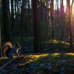 Oulu: Guided Fatbike Tour From Nallikari Around Hietasaari - Scenic Routes Around Hietasaari Island