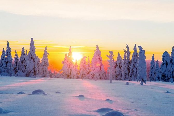 Ounasvaara and Ranua Zoo - Starting Point and Practical Details in Rovaniemi