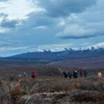 Overnight Denali National Park plus Aurora Chase Tour - Visiting Denali National Park: Key Stops and Activities