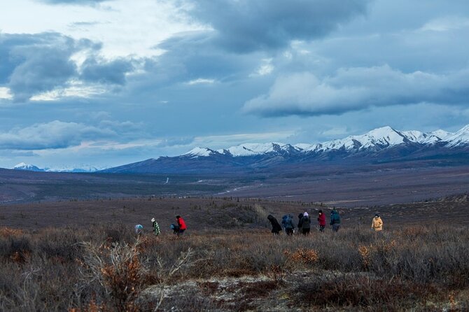 Overnight Denali National Park plus Aurora Chase Tour - Visiting Denali National Park: Key Stops and Activities