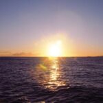 Pacific Star Sunset Buffet and Show - What’s Included in the Cruise