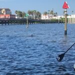 Paddle Board Rental - What’s Included in the Paddle Board Rental