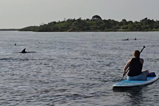 Paddle With Native Wildlife - Discover the Mosquito Lagoon Aquatic Preserve