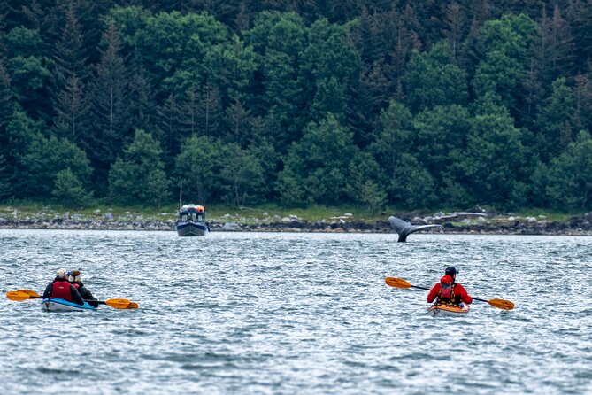 Paddle with Whales Kayak Adventure Juneau - Exploring Juneau Channel Island State Marine Park